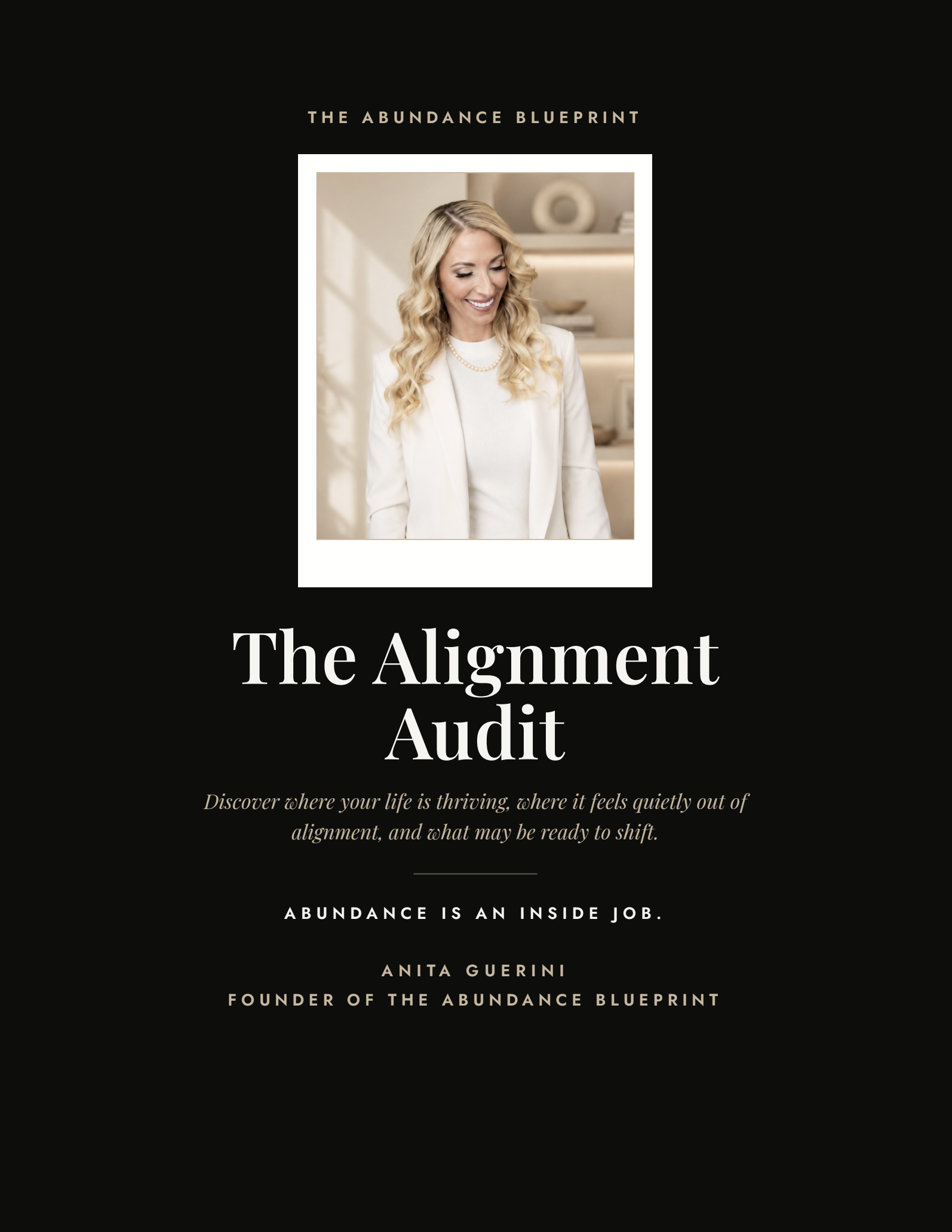 The Alignment Audit by Anita Guerini